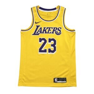 LeBron James #23 Los Angeles Lakers City 23/24 Jersey